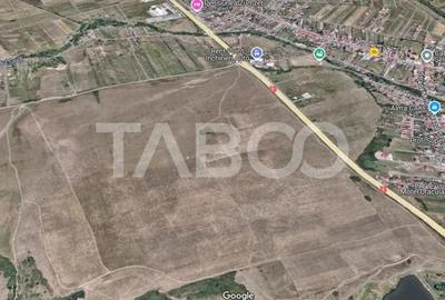 Teren extravilan arabil 5950 mp Selimbar - zona Sopa - 3