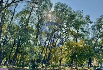 Vezi Parcul Kiseleff! Apartament spectaculos, 4 camere, 175mp - COMISION 0% - 38