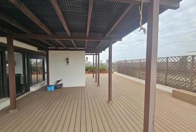 Aviatorilor- Guvern - 5