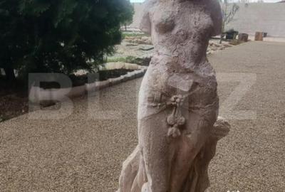 Casă cu 8 camere cu Teren 28000 Mp în Baba Ana - 1