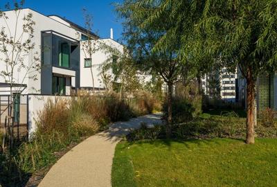 STUDIO BEST PRICE cu Gradina Avalon Estate - 2