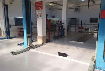 Spațiu comercial, de 200 mp, în Central - 10