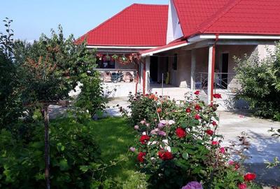 Casă cu 6 camere cu Teren 1997 Mp în Homocea - 4