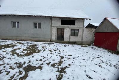 Casă cu 3 camere cu Teren 10000 Mp în Central - 2