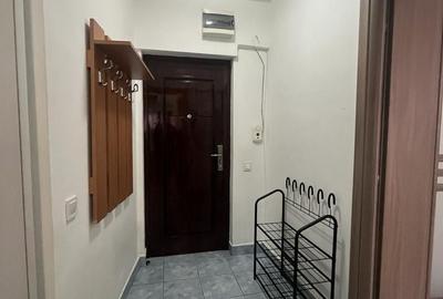 Apartament cu 2 camere decomandat, mobilat în Baba Novac - 11