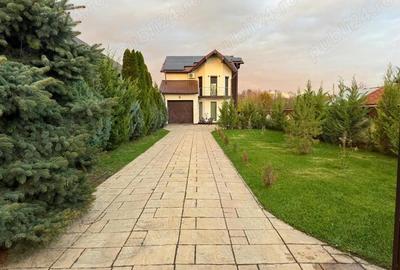 Casă cu Teren 4500 Mp în Bătești - 10