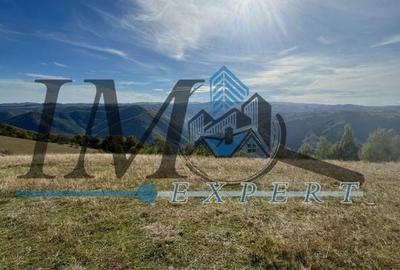 Teren extravilan la munte zona Loman! - 3