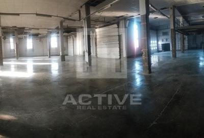 Hala cu curte 3000 mp || vizibilitatea maxima la str . Traian Vuia - 3