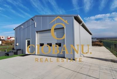 Hala de vanzare in Racarii de Jos - 4