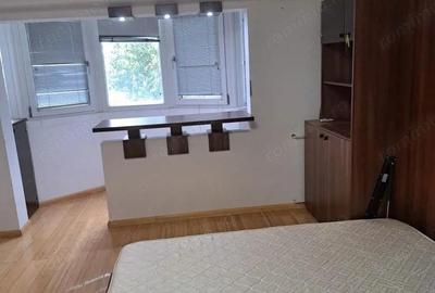 Garsonieră decomandată, mobilată în Costin Georgian