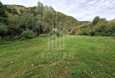 Teren Intravilan de Vânzare - 4000 mp - Râu Sadului - 8