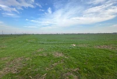 TEREN 7.500 MP DE VANZARE – MĂGURELE, ILFOV - 1