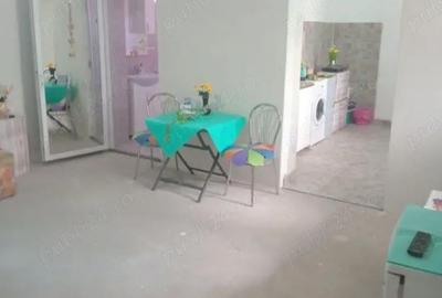 Casă în Bodrogu Nou - 1