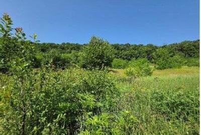 Teren Duda Epureni, ID: R2609594 - 3