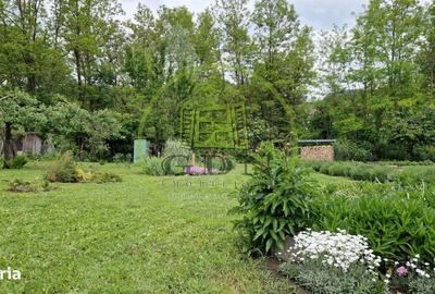 Casă cu 3 camere decomandat cu Teren 1000 Mp în Căianu - 9