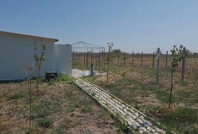 Teren de 1300 mp, în Plătărești