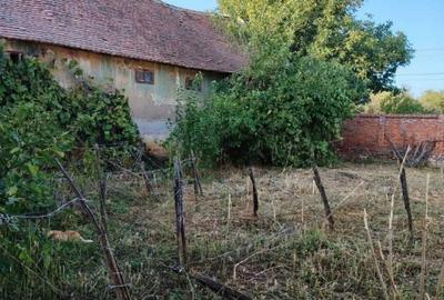 Casă cu 3 camere în Pădureni - 2
