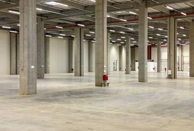 Hale de inchiriat - diverse activitati - ELI Park Bacau, COMISION 0% - 4