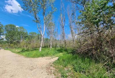 Teren de vanzare / Dem Radulescu - 2