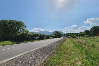 Teren Rasnov – Predeal deschidere la Dn 73 zona de pensiuni - 3