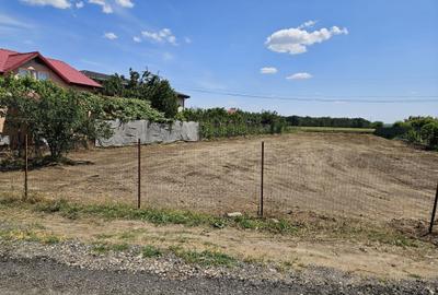 Spațiu comercial, în Brănești - 1