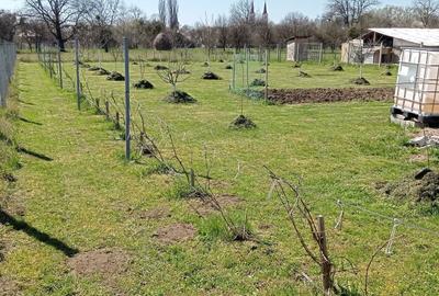 Teren de 1500 mp, în Șomcuta Mare - 13