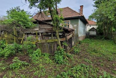 Vanzare Casa in Zlatna Centru - 8