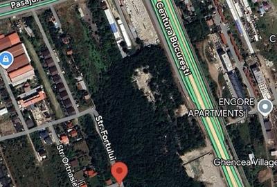 Casă cu 4 camere în Clinceni - 7