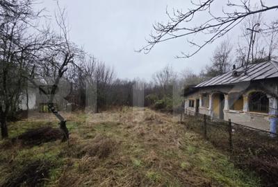 Teren în Exterior Vest - 2