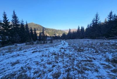 Teren extravilan de vanzare inconjurat de padure in Bucovina zona Breaza - 5