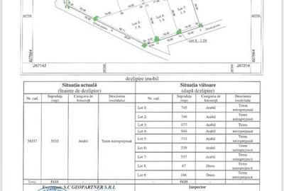 Spațiu comercial, în Paleu