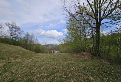 Teren intravilan 1454 mp la marginea padurii zona locuita de case! - 12