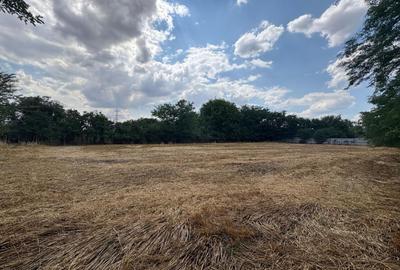 Teren agricol intravilan de 2580 mp, în Hagiești - 1