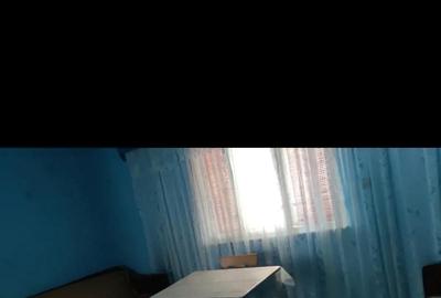 Casă cu 5 camere în Hodiș - 2