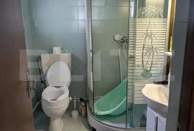 Casa renovabila, 2 camere, zona Cetate - 8