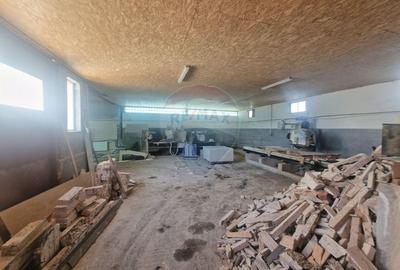 Hala de depozitare si productie  in Almas, Judetul Neamt - 3
