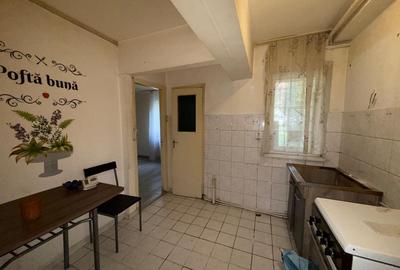 Apartament 3 camere, parter, zona Dacia - 8