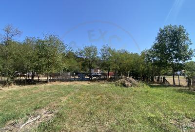 Teren 10414 mp in loc. Albota-Mares. COMISION 0% - 4