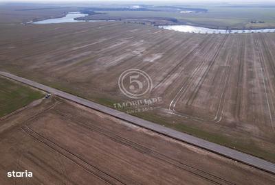 Spațiu comercial, în Pasărea