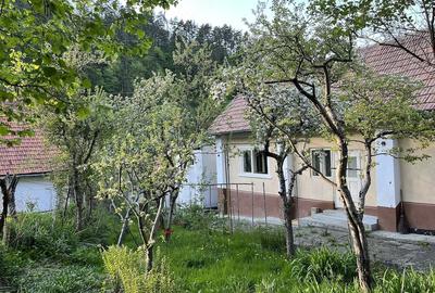 Teren de 707 mp, în Schei - 7