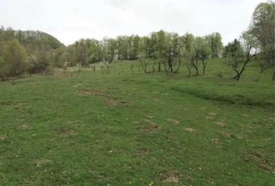 Teren în Buștenari - 2