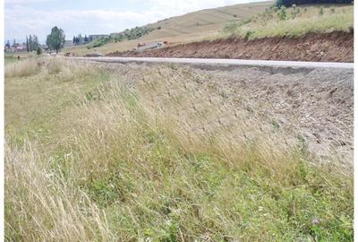 Teren 6,750mp Codlea / DN dn1 - 5