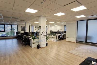 Spatiu de birouri in vila, cartierul Europa - 4