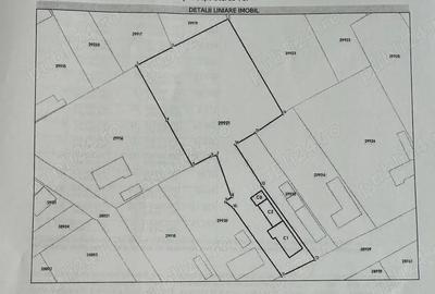 Proprietate la ?ara casa batraneasca + anexe + teren 2.713 mp - 9