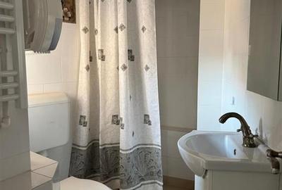 Inchiriere imobil D+P+1+M | 450 mp | Cismigiu - Cazzavillan | - 29