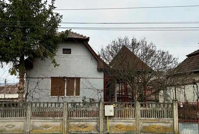 Casă în Viișoara - 2
