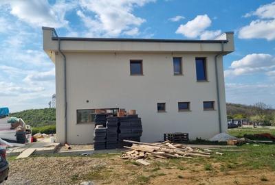 Casă cu 4 camere în Săldăbagiu de Munte - 4