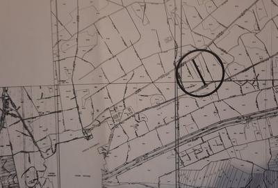 Vand teren in Sanmihaiu Roman - 1