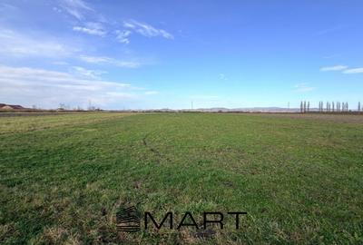 Teren Extravilan 15.000 mp Prejmer - 4