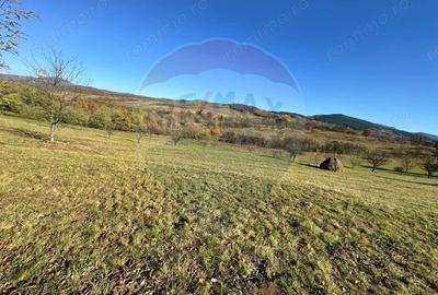 Teren 5,325mp Rona de Jos / Soseaua Prinncipala - 3